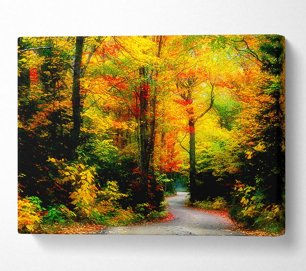  A Canvas Print of Autumn Road Canvas Wall Art