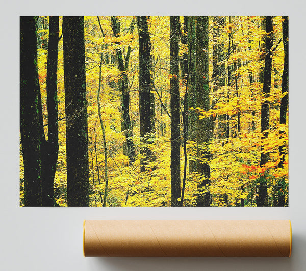 Yellow Woodland Print