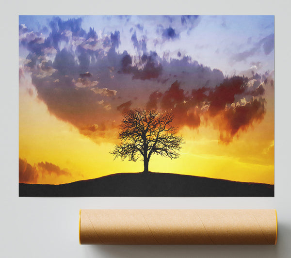 Tree In The Morning Light Poster