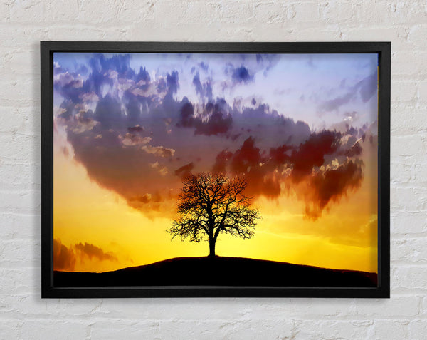 Tree In The Morning Light Framed Print