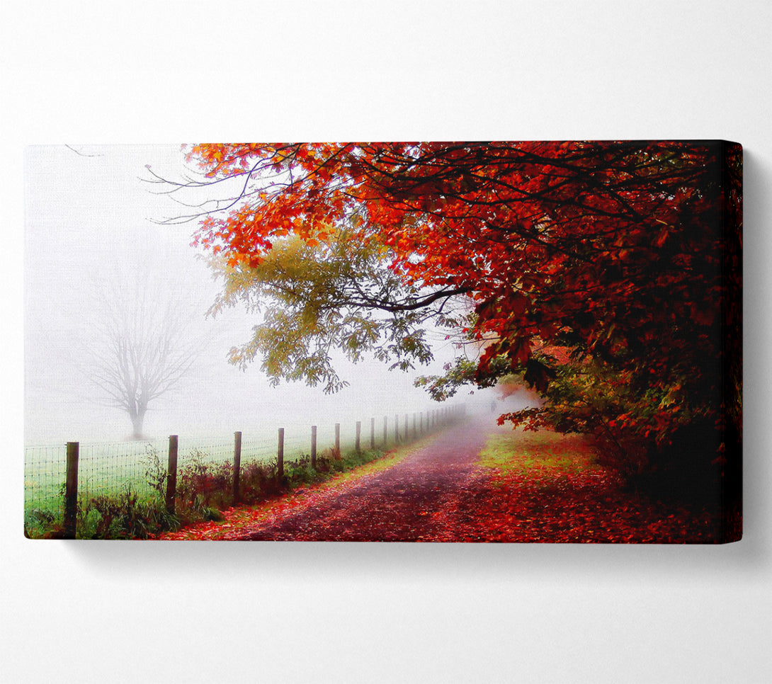  A Canvas Print of The Winter Path Canvas Wall Art