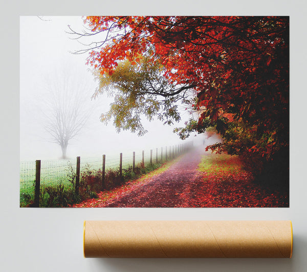 The Winter Path Print