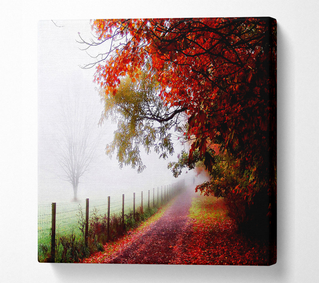  A Canvas Print of The Winter Path Canvas Wall Art