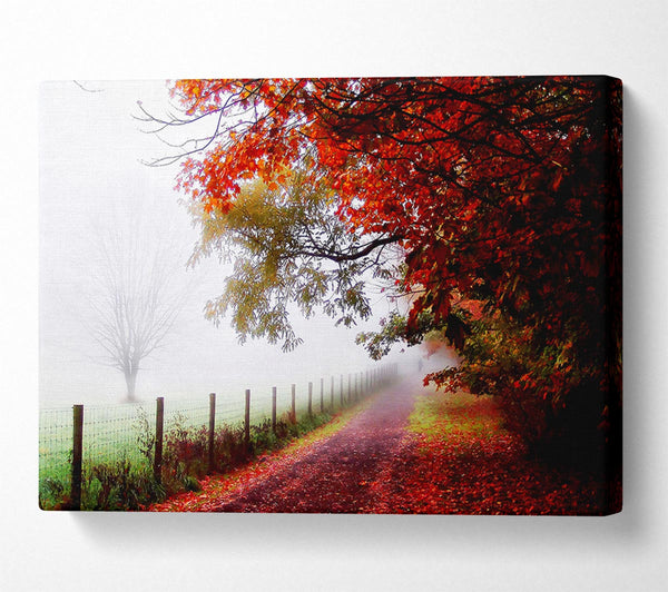  A Canvas Print of The Winter Path Canvas Wall Art