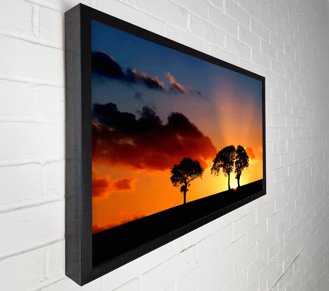  A Canvas Print of Morning Sunrise Peaking Through The Trees Canvas Print