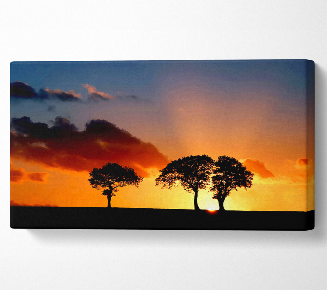  A Canvas Print of Morning Sunrise Peaking Through The Trees Canvas Print