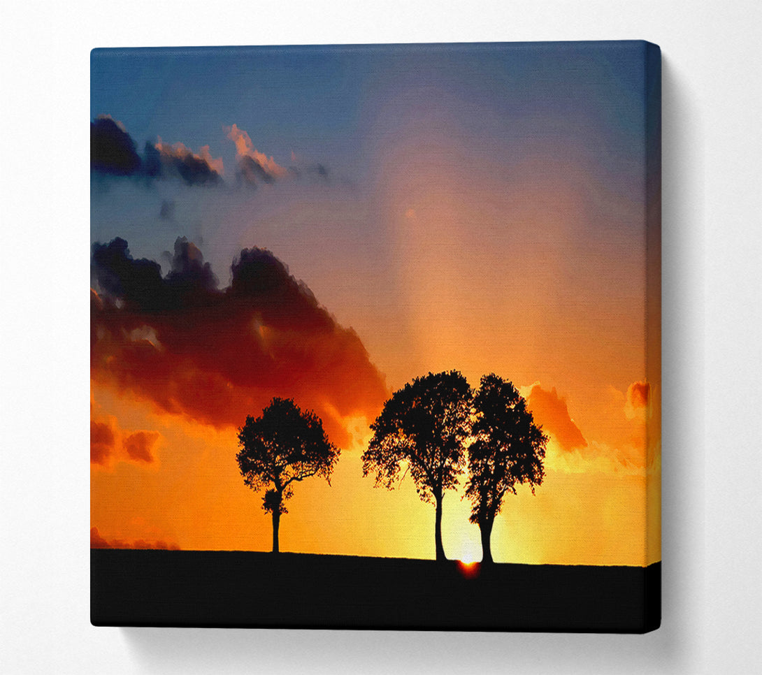  A Canvas Print of Morning Sunrise Peaking Through The Trees Canvas Print