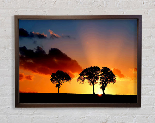 Morning Sunrise Peaking Through The Trees Framed Print
