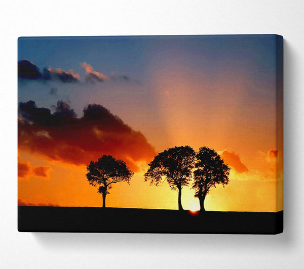  A Canvas Print of Morning Sunrise Peaking Through The Trees Canvas Print