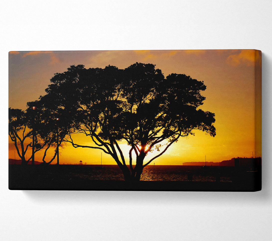  A Canvas Print of The Hidden Sun Canvas Print
