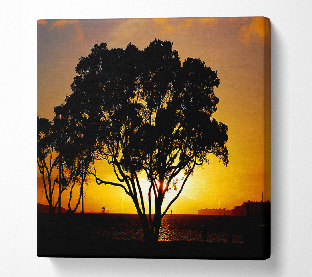  A Canvas Print of The Hidden Sun Canvas Print