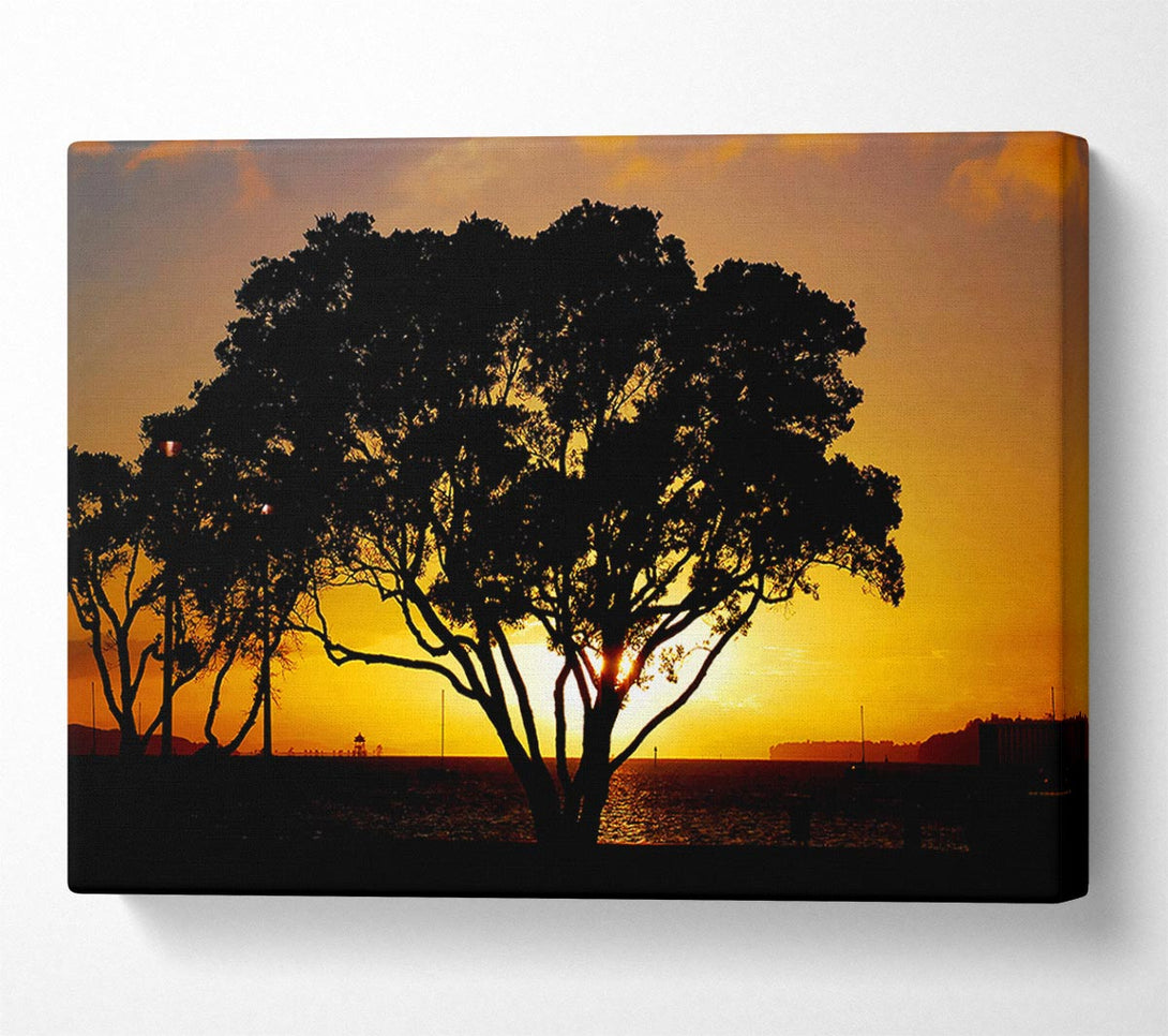  A Canvas Print of The Hidden Sun Canvas Print