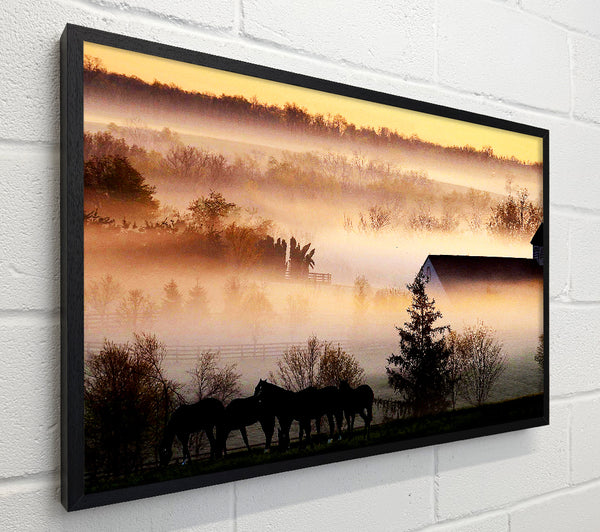 Horses In The Morning Mist