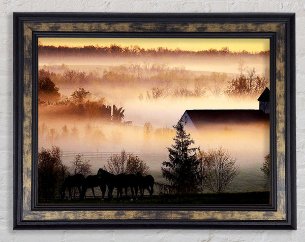 Horses In The Morning Mist Framed Print