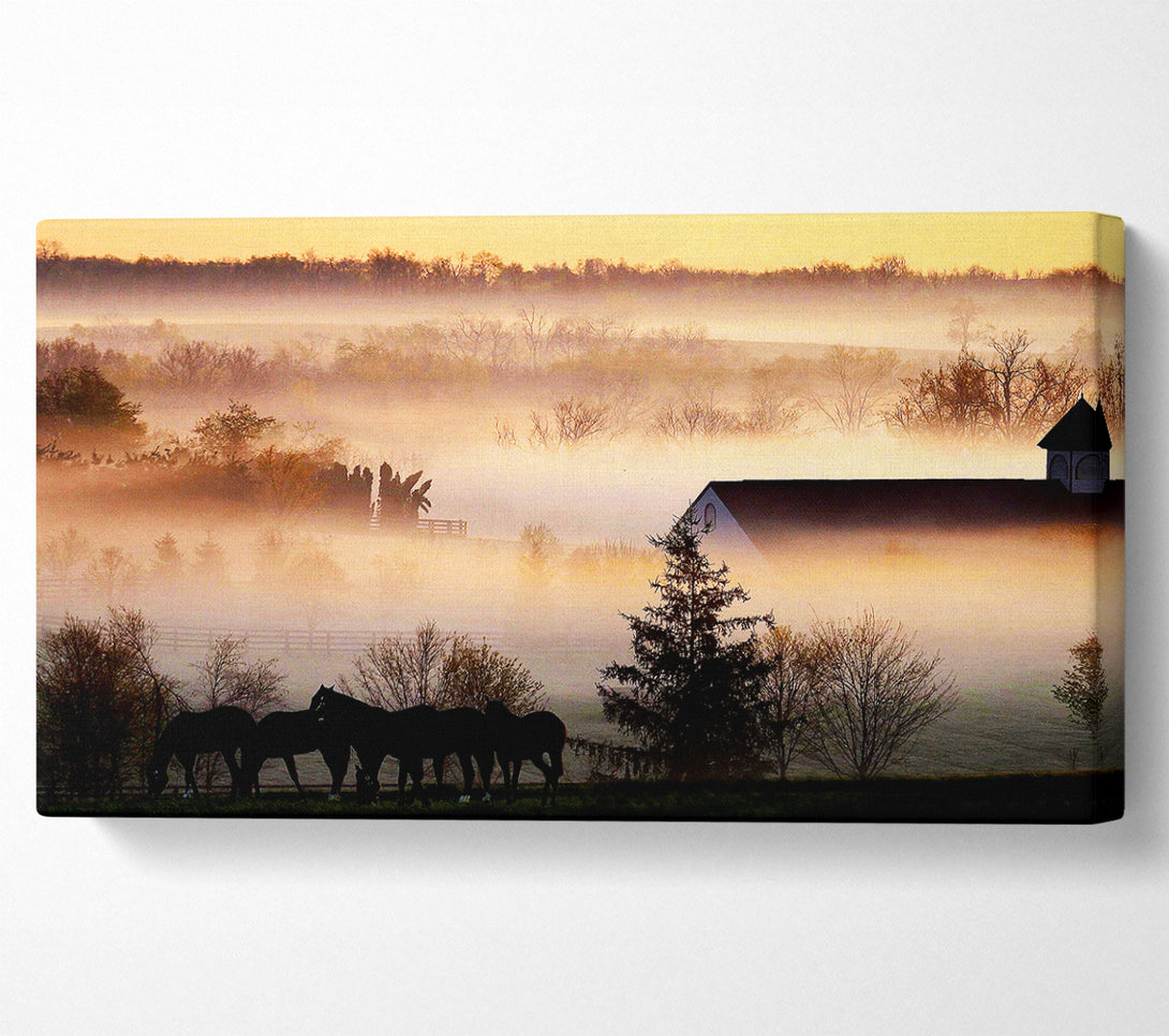  A Canvas Print of Horses In The Morning Mist Canvas Print