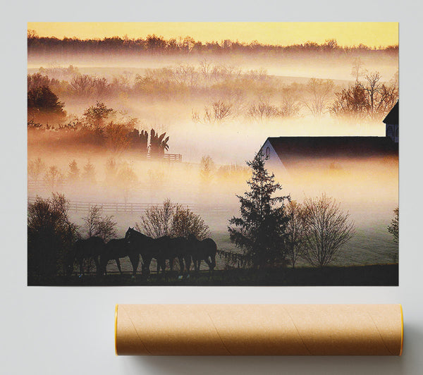 Horses In The Morning Mist Giclee Print