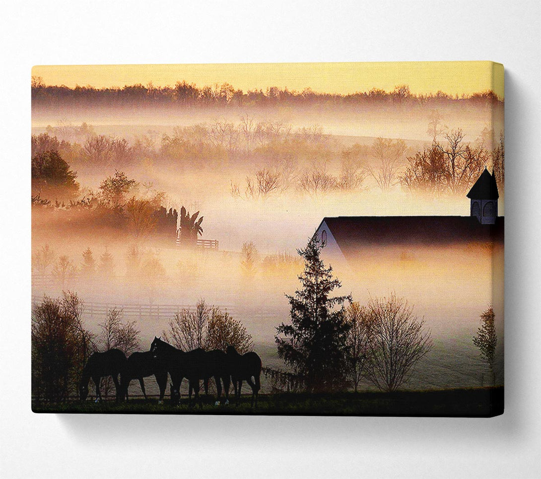  A Canvas Print of Horses In The Morning Mist Canvas Print