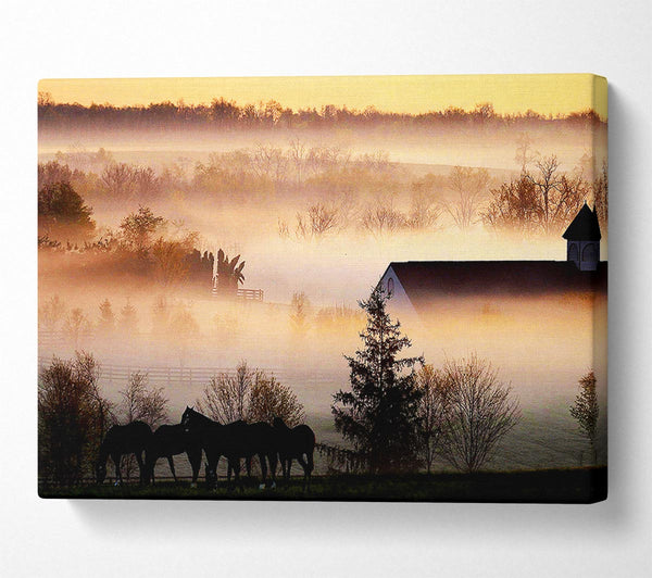  A Canvas Print of Horses In The Morning Mist Canvas Print
