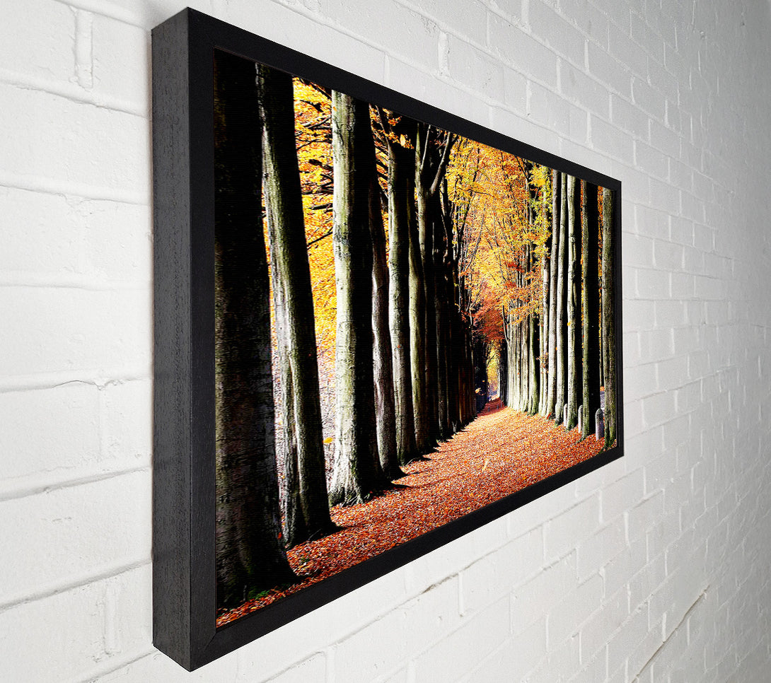  A Canvas Print of Woodland Walk Canvas Wall Art