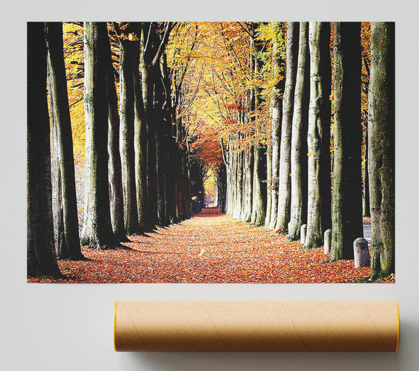 Woodland Walk Giclee Print