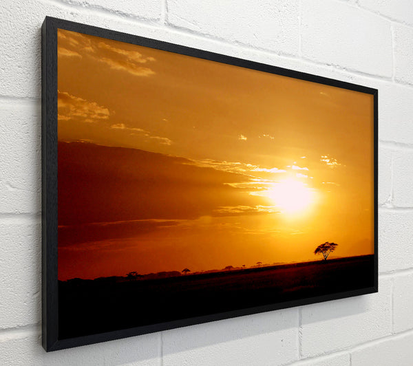 Golden Sunrise