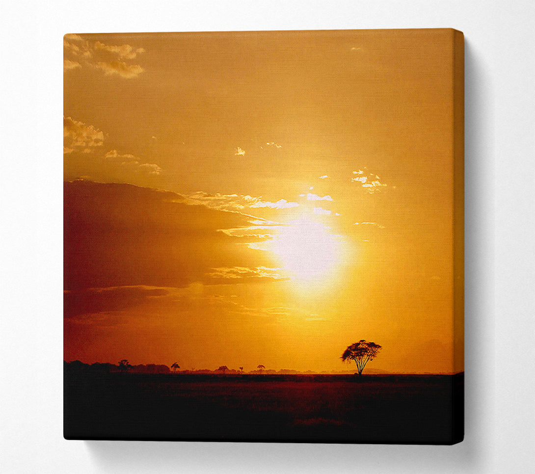 A Canvas Print of Golden Sunrise Canvas Wall Art