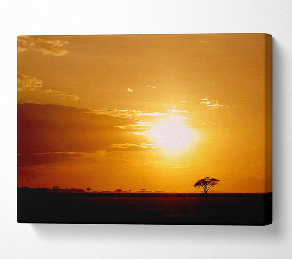  A Canvas Print of Golden Sunrise Canvas Wall Art