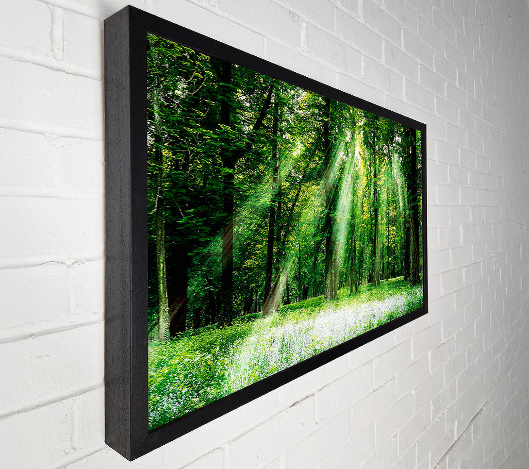  A Canvas Print of Sunbeams From Heaven Canvas Art
