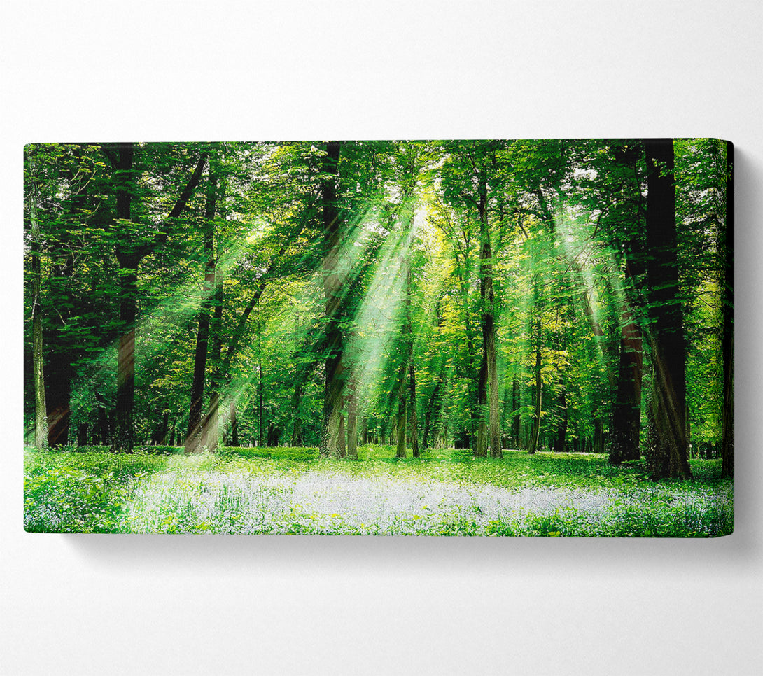  A Canvas Print of Sunbeams From Heaven Canvas Art
