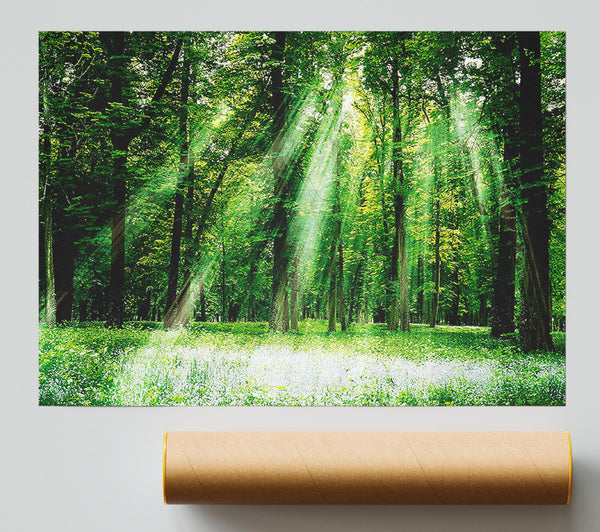 Sunbeams From Heaven Print