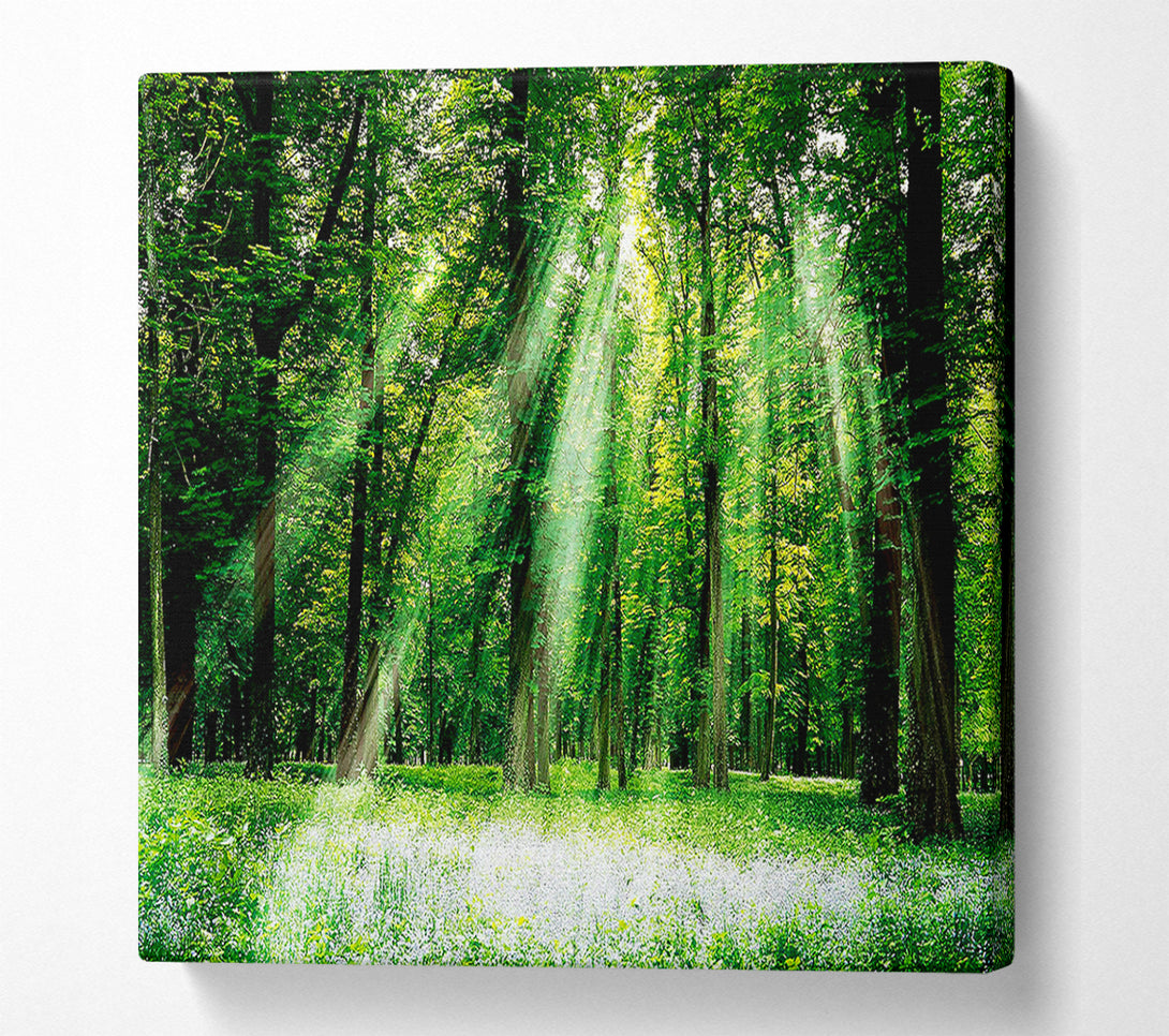  A Canvas Print of Sunbeams From Heaven Canvas Art