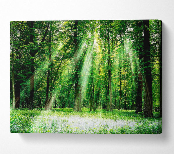  A Canvas Print of Sunbeams From Heaven Canvas Art
