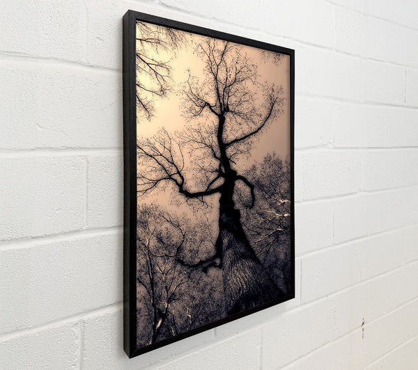 The Bare Winter Tree