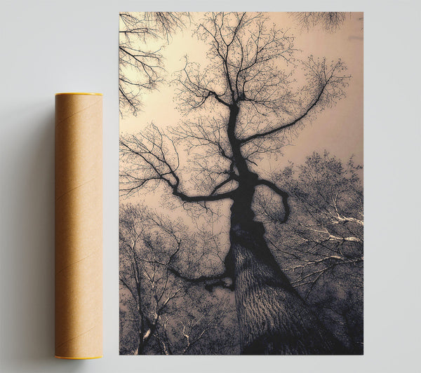 The Bare Winter Tree Poster