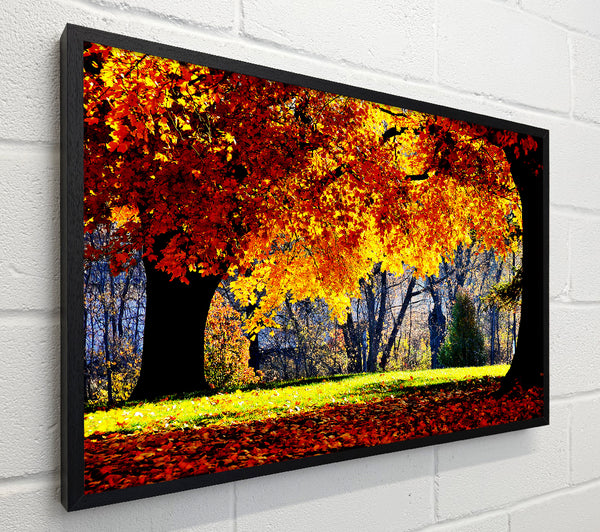 The Golden Autumn Tree