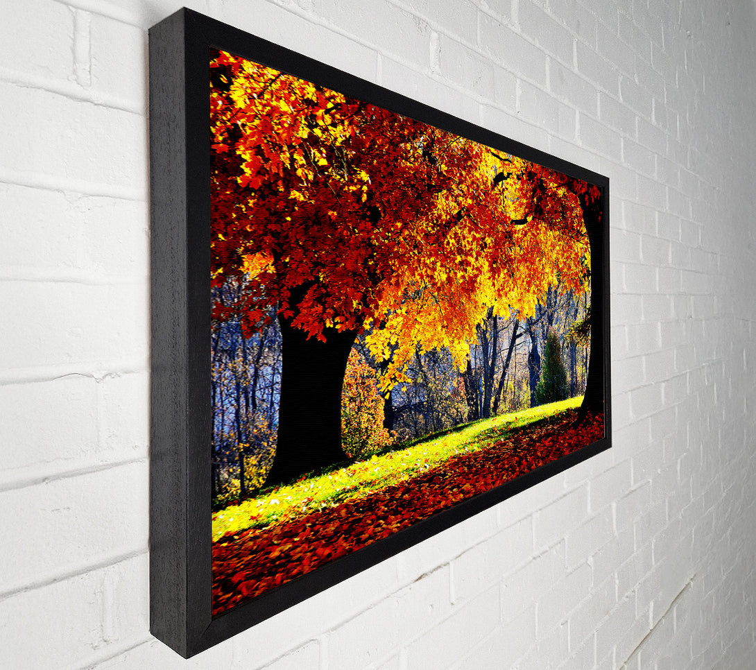  A Canvas Print of The Golden Autumn Tree Canvas Print