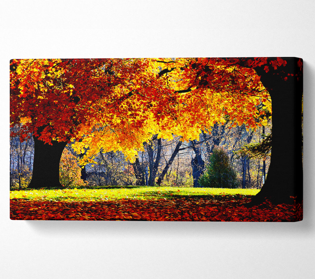  A Canvas Print of The Golden Autumn Tree Canvas Print