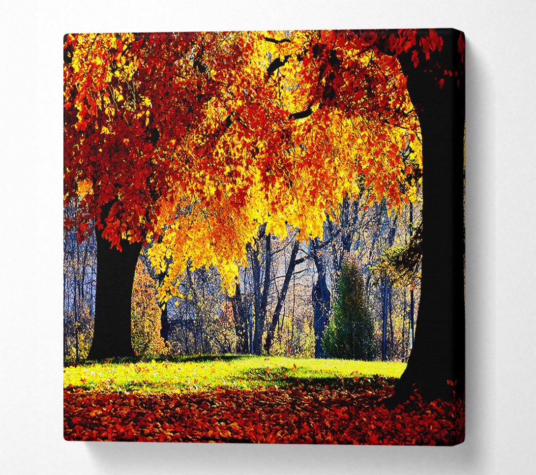  A Canvas Print of The Golden Autumn Tree Canvas Print