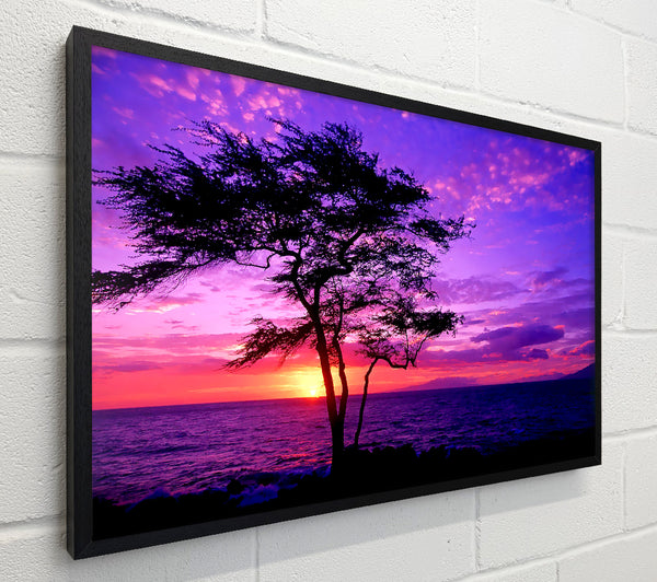 Red Ocean Tree
