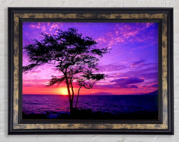 Red Ocean Tree Framed Print