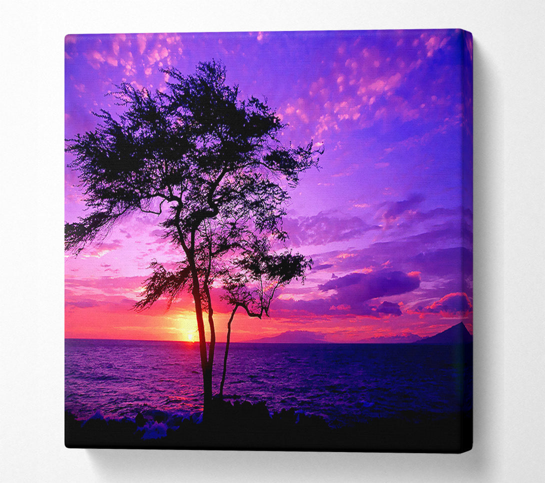  A Canvas Print of Red Ocean Tree Canvas Print