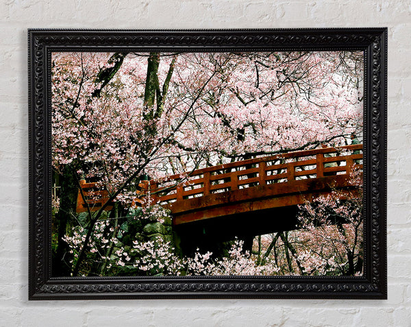 Cherry Blossom Bridge Framed Print