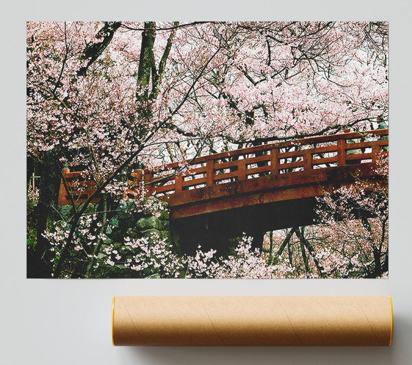 Cherry Blossom Bridge Print