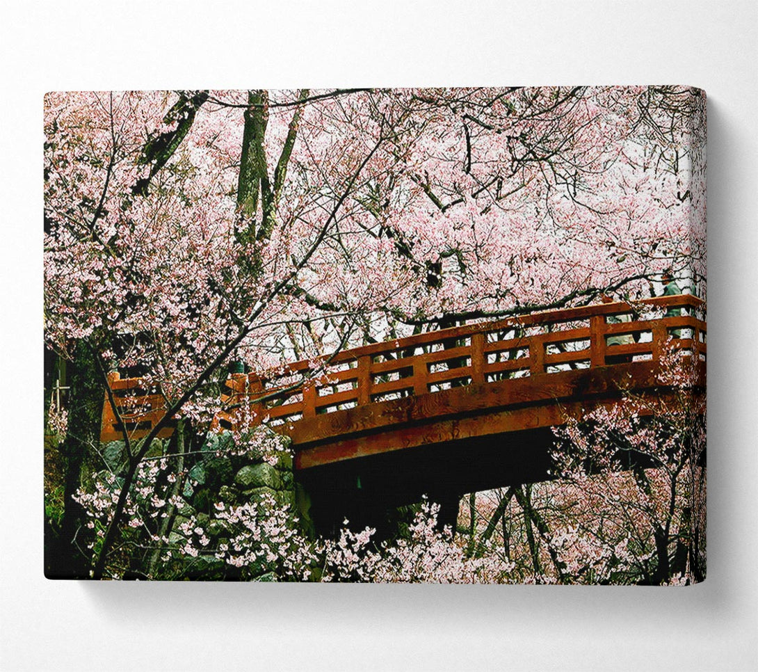  A Canvas Print of Cherry Blossom Bridge Canvas Art