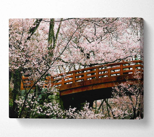  A Canvas Print of Cherry Blossom Bridge Canvas Art