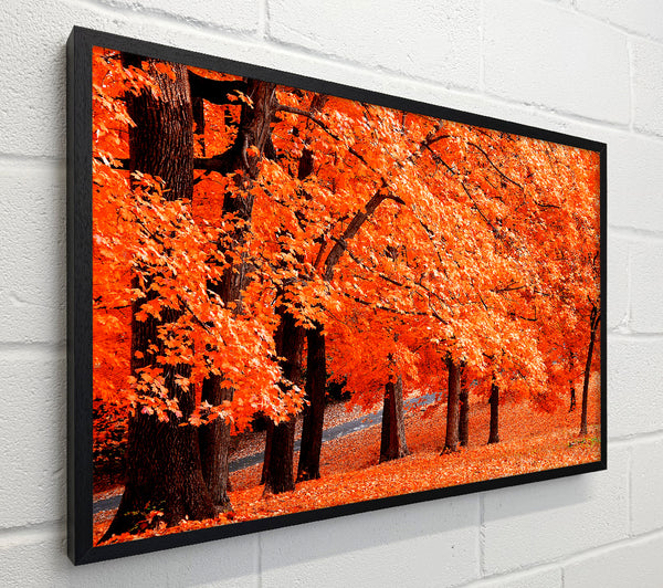 Orange Tree Parade