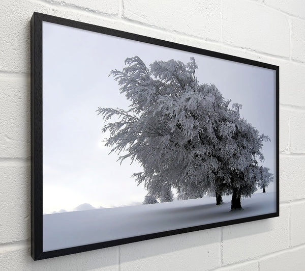 In The Dead Of Winter