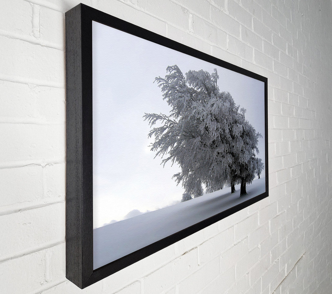  A Canvas Print of In The Dead Of Winter Canvas Wall Art
