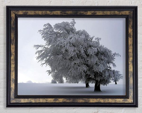 In The Dead Of Winter Framed Print