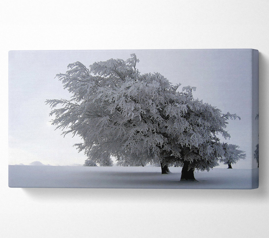  A Canvas Print of In The Dead Of Winter Canvas Wall Art